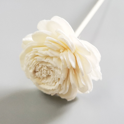 Casa Reed Diffuse Dried Sola Flower preservado fragrância Reed Diffuser com feltro de lubrificação do algodão