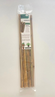 60cm retos secos à cor natural de bambu grande de 595cm Polos