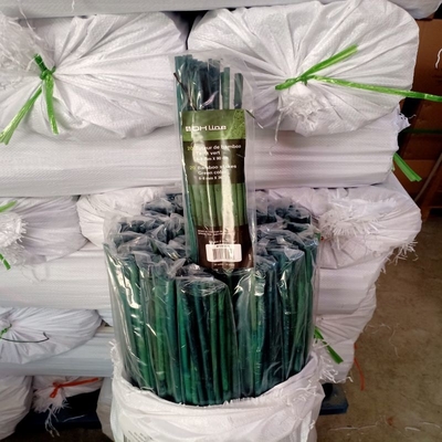 20cm pintou a decoração verde de Ros das estacas de bambu cruas de Polos