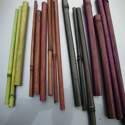 O anti molde pintou as estacas que de bambu a planta colorida Tonkin carbonizou 250cm