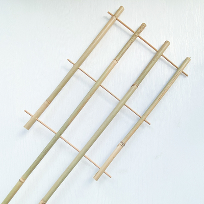 O bambu 100% da matéria prima estaca 6m as aros da forma que de U Handcrafted a flor do apoio da treliça