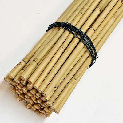 Vara de bambu de bambu crua de 100% Polos Polos diâmetro de 0.004m a de 0.014m