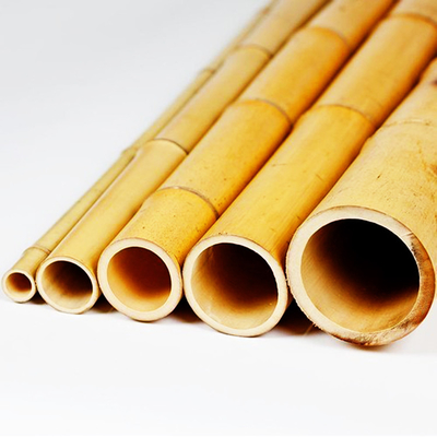 Decoração Polos de bambu crus Tonkin natural Polos de bambu da planta de jardim