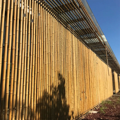Estacas de bambu de jardinagem tratadas secadas dos bastões de Polos das varas 16cm para a construção