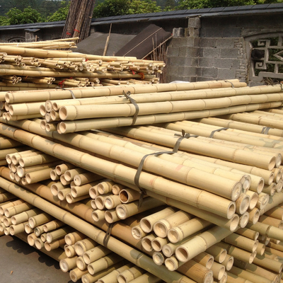 Estacas de bambu de jardinagem tratadas secadas dos bastões de Polos das varas 16cm para a construção