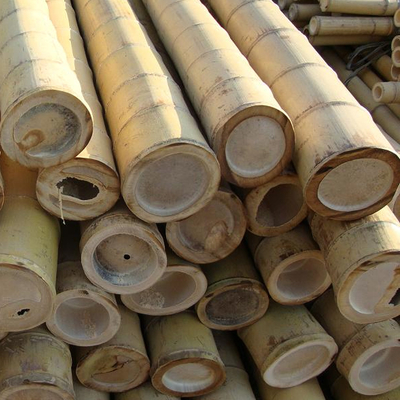 Estacas de bambu de jardinagem tratadas secadas dos bastões de Polos das varas 16cm para a construção