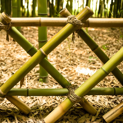Estacas de bambu de jardinagem tratadas secadas dos bastões de Polos das varas 16cm para a construção