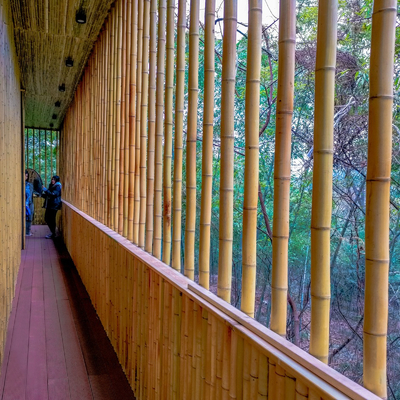 Estacas de bambu de jardinagem tratadas secadas dos bastões de Polos das varas 16cm para a construção