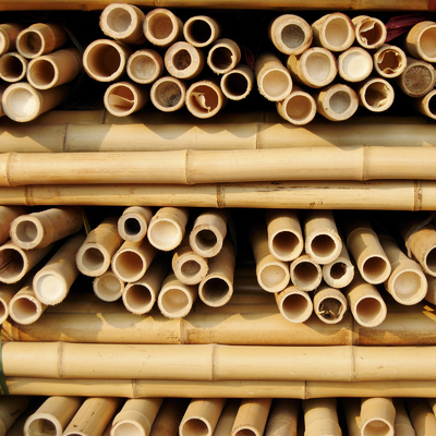 Estacas de bambu de jardinagem tratadas secadas dos bastões de Polos das varas 16cm para a construção