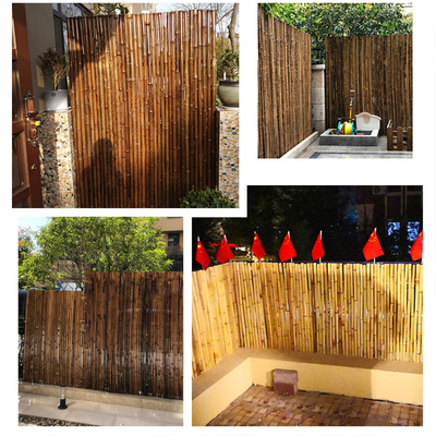Cerca de bambu pintada material de bambu natural Privacy Garden Border de Panels Rolled Bamboo da cerca