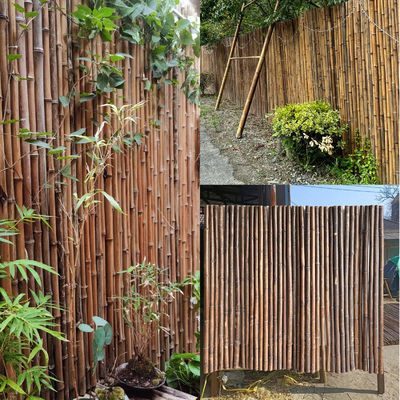Cerca de bambu pintada material de bambu natural Privacy Garden Border de Panels Rolled Bamboo da cerca