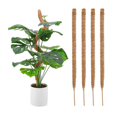 plantas de Moss Totem Pole Kit For da fibra de coco de 44cm que escalam e que apoiam o coco Polo das plantas