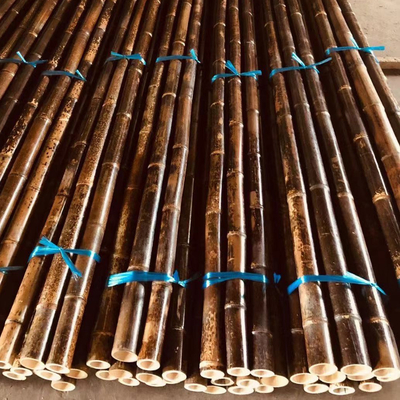 do verde de bambu cru da pintura de 150cm estacas de bambu decorativas pretas vermelhas do jardim Polos
