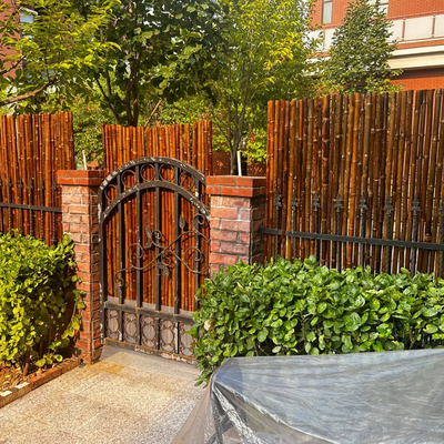do verde de bambu cru da pintura de 150cm estacas de bambu decorativas pretas vermelhas do jardim Polos