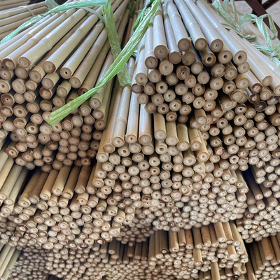 Bastões de bambu crus coloridos Polos de bambu para a agricultura do jardim