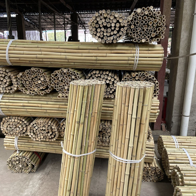 Bastões de bambu crus coloridos Polos de bambu para a agricultura do jardim