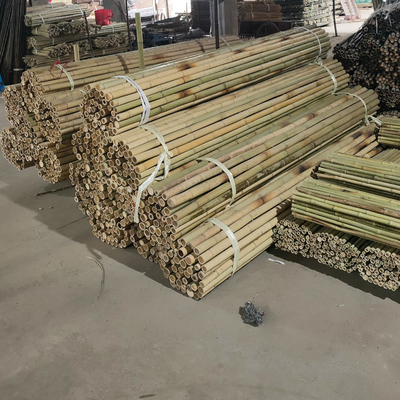 Bastões de bambu crus coloridos Polos de bambu para a agricultura do jardim