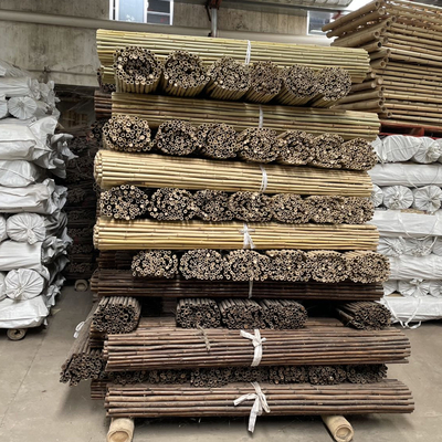 Bastões de bambu crus coloridos Polos de bambu para a agricultura do jardim