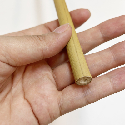 60cm retos secos à cor natural de bambu grande de 595cm Polos