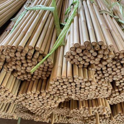 Estacas de bambu naturais do apoio da planta para plantas internas, estaca de bambu 40cm do jardim de bambu de Polos das varas 595cm