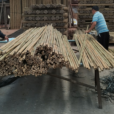 18 mm a 160 mm de diâmetro Bamboo Cane Moso Bamboo Pole Construção Agricultura