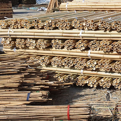 18 mm a 160 mm de diâmetro Bamboo Cane Moso Bamboo Pole Construção Agricultura