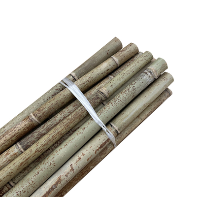 Diâmetro cru natural de Polos 2cm 3cm 4cm 5cm 6cm 8cm 10cm do bambu de Moso