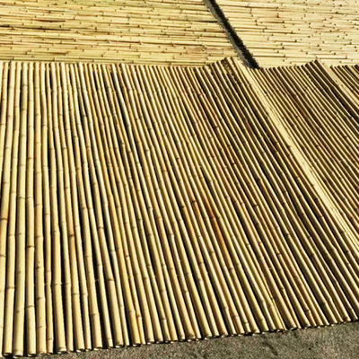 A beira amigável do jardim de Eco cerca a cerca 240cm de bambu Panels Garden Border de 180cm