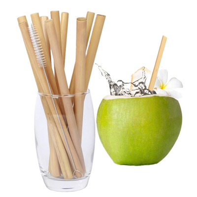 Palhas bebendo de bambu 20x0.8cm reusáveis amigáveis reusáveis de Eco com escova