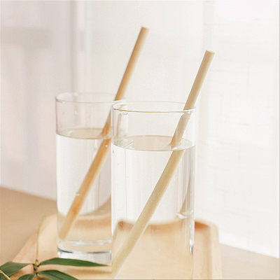 Palhas bebendo de bambu 20x0.8cm reusáveis amigáveis reusáveis de Eco com escova