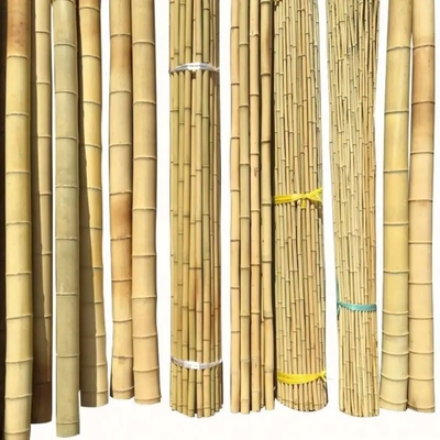 Bamboo Town Natureza Amarelo Preto Seco Tratado Bamboo Moss Pole