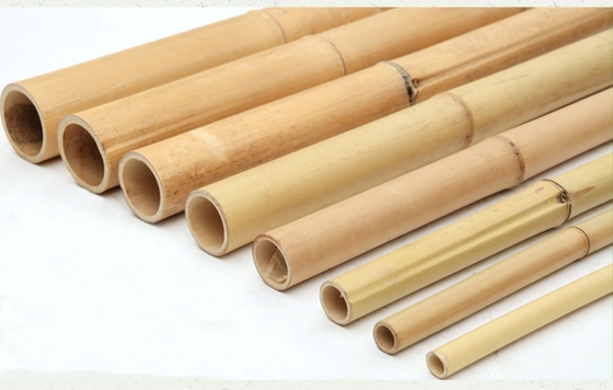 100% Bamboo Natural Pólo Personalizar comprimento Eco-Friendly Plant Support Garden Stakes Forte Durável Leve