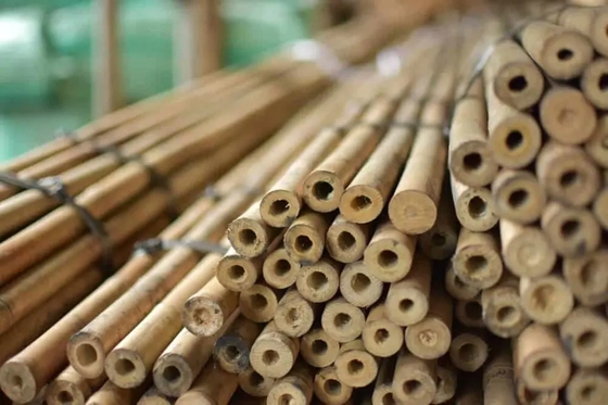 Bastões de bambu para jardim natural para plantas de interior e de exterior, estacas de apoio para plantas de tomate, feijão, plantas em pote
