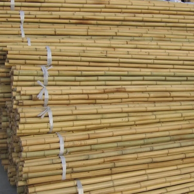 Bamboo estacas de jardim hastes estacas de jardim estacas de plantas de bambu para feijão ervilhas pepino plantas frutíferas árvores