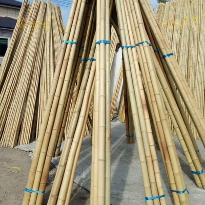 Comércio por grosso Natureza Cru Tonkin Amarelo Bamboo Pól Material de Cana Para Decorativo E Plantas Crescer Suporte