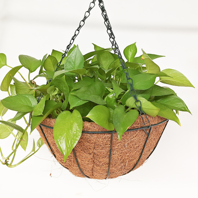 Planteiras de coco penduradas em ambientes exteriores Cestas de arame metálico com panelas penduradas de coco para plantas em ambientes internos