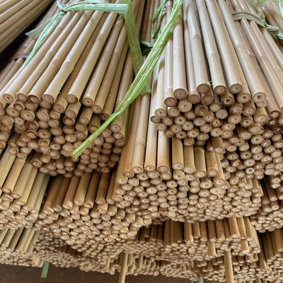 Natureza Bamboo cru Pólos de árvores de bambu retas estacas de bambu grandes Pólos de bambu para decoração
