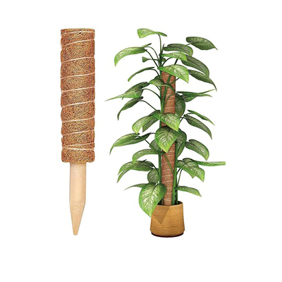 Palmeira de Coco Moss Stick Totem Pole Coco Coir Totem Pole Plant Support Extension Climbing Indoor Plants Creepers