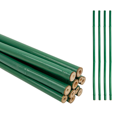 Suporte floral tratado de bambu revestido de PVC verde sob medida