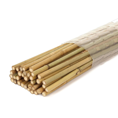 Plantas em vasos de bambu ecológicas para plantas de interior e exterior