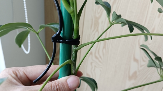 Flexível linha verde oco para apoiar a planta amarre sacos para o escritório em casa