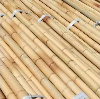 595cm Long Moso Bamboo Pole - Eco-friendly Straight and Sturdy Bamboo Raw Material for Garden Construction