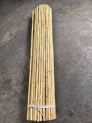 Kit de Cerca de Bambu Moderno: Vedação e Divisor de Pátio Natural Definitivo para Jardim