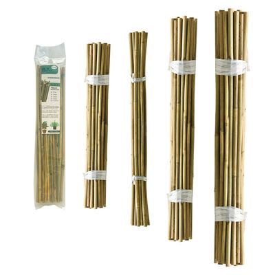 Estacas de Jardim, Estacas de Bambu Naturais de 18 Polegadas, Estacas de Suporte para Plantas com Amarras, Varetas de Bambu para Tomates, Feijão, Flores, Plantas em Vasos, Plantas Trepadeiras Internas e Externas