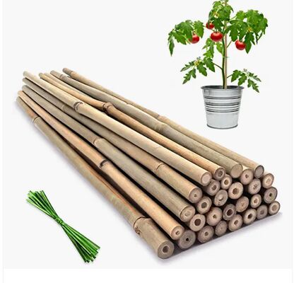 Estacas de Jardim, Estacas de Bambu Naturais de 18 Polegadas, Estacas de Suporte para Plantas com Amarras, Varetas de Bambu para Tomates, Feijão, Flores, Plantas em Vasos, Plantas Trepadeiras Internas e Externas