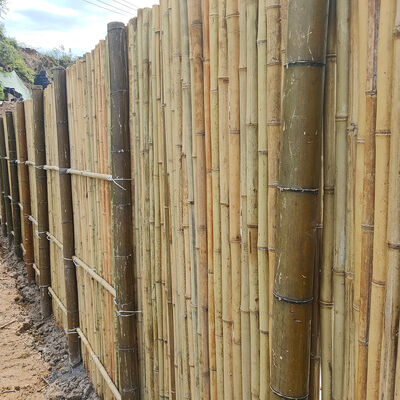Rolo de cerca de bambu natural à prova d'água e durável para jardim e paisagismo