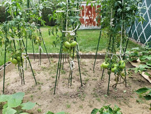 Estacas de Metal Revestidas de Plástico Estacas Verdes de Jardim para Suporte de Plantas Trepadeiras Paisagismo Cercas