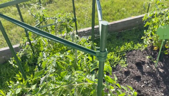 Estacas de Metal Revestidas de Plástico Estacas Verdes de Jardim para Suporte de Plantas Trepadeiras Paisagismo Cercas