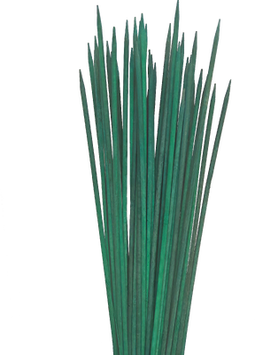 Bastões de bambu para plantas de flores Bastões de bambu para plantas