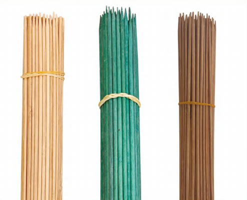 Bastões de bambu para plantas de flores Bastões de bambu para plantas